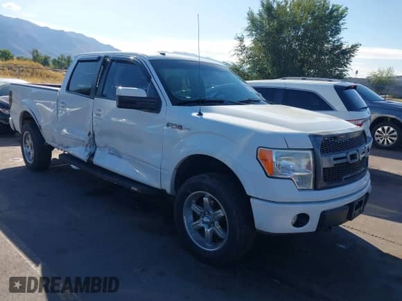 2009 Ford F-150 XL with VIN 1FTPW14V29KC89151, listed as a IAAI auction lot 43335706 with 163,176 mi miles and . Bid and sale history available at DreamBid. Image 1.