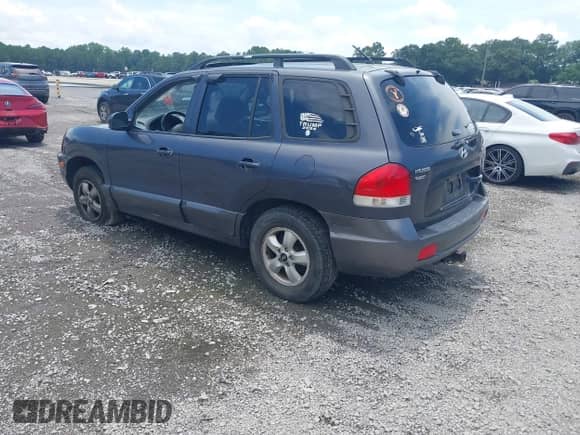 2005 Hyundai Santa Fe GLS с VIN KM8SC13E95U939981, выставлен на аукционе IAAI как лот 42852455 с пробегом 243 384 миль миль и . История ставок и продаж доступна на DreamBid. Изображение 3.