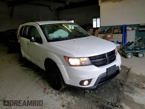 2019 Dodge Journey SE with VIN 3C4PDCBB4KT862890, listed as a Copart auction lot 80110295 with 297,173 mi miles and Salvage title. Bid and sale history available at DreamBid. Image 14.