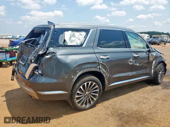 2024 Hyundai Palisade Calligraphy with VIN KM8R7DGE2RU687396, listed as a Copart auction lot 67785515 with 32,889 mi miles and Salvage title. Bid and sale history available at DreamBid. Image 3.