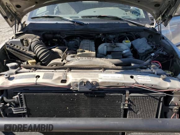 1999 Dodge 2500 with VIN 1B7KF2362XJ531322, listed as a Copart auction lot 80100015 with 222,772 mi miles and Salvage title. Bid and sale history available at DreamBid. Image 11.