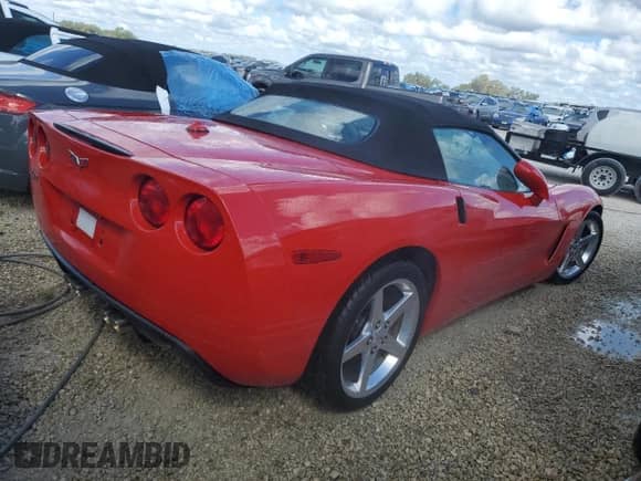 2005 Chevrolet Corvette with VIN 1G1YY34U955117539, listed as a Copart auction lot 74097044 with Not provided miles and Salvage title. Bid and sale history available at DreamBid. Image 3.