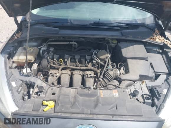 2015 Ford Focus SE с VIN 1FADP3K20FL307422, выставлен на аукционе IAAI как лот 43231633 с пробегом 125 339 миль миль и . История ставок и продаж доступна на DreamBid. Изображение 10.