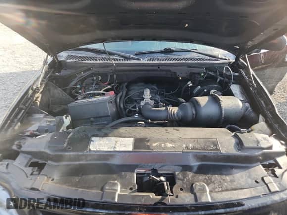 2003 Ford F-150 XL with VIN 1FTRX17223NB72439, listed as a Copart auction lot 70504955 with 288,249 mi miles and Salvage title. Bid and sale history available at DreamBid. Image 11.