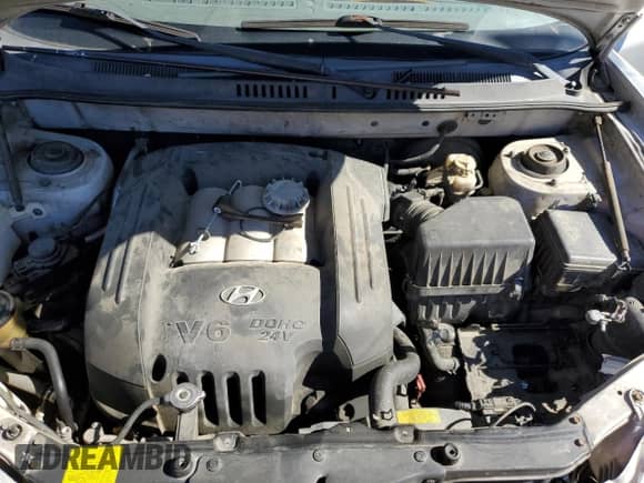 2002 Hyundai Santa Fe GLS z VIN KM8SC13D22U233146, wystawiony jako Copart lot #80273844 z przebiegiem 213 822 mil mil oraz Szkoda całkowita • Salvage title. Historia ofert i sprzedaży dostępna na DreamBid. Obrazek 13.