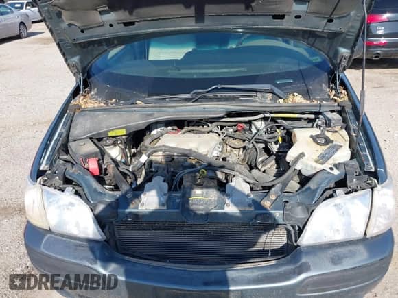 2004 Chevrolet Venture Plus с VIN 1GNDU03E04D127107, выставлен на аукционе IAAI как лот 42633918 с пробегом 228 069 миль миль и . История ставок и продаж доступна на DreamBid. Изображение 10.