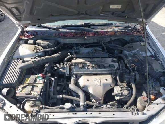 2001 Honda Accord EX with VIN JHMCG566X1C028324, listed as a IAAI auction lot 43502630 with 197,154 mi miles and . Bid and sale history available at DreamBid. Image 10.