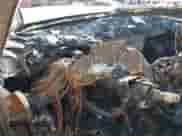 2007 Chevrolet Tahoe LTZ с VIN 1GNFC13097J406101, выставлен на аукционе IAAI как лот 43131682 с пробегом Не указан миль и . История ставок и продаж доступна на DreamBid. Изображение 7.