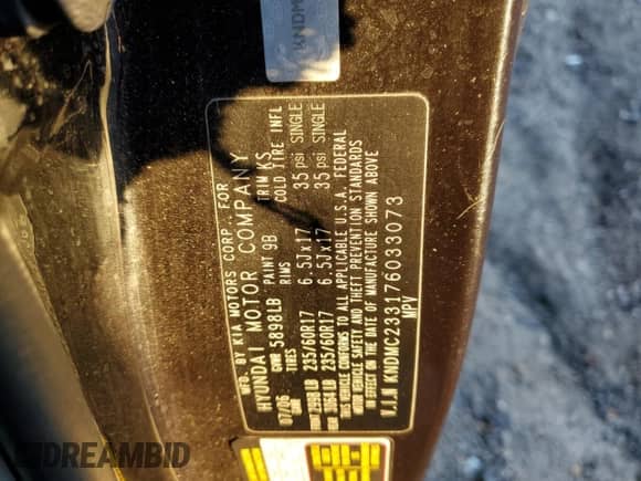 2007 Hyundai Entourage GLS with VIN KNDMC233176033073, listed as a Copart auction lot 81192844 with 224,147 mi miles and Salvage title. Bid and sale history available at DreamBid. Image 13.