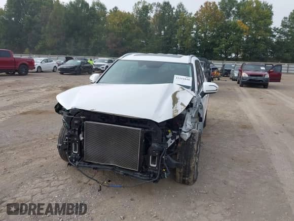 2020 Hyundai Palisade SEL with VIN KM8R4DHE9LU065649, listed as a IAAI auction lot 43211810 with 71,603 mi miles and . Bid and sale history available at DreamBid. Image 6.