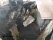 2023 Ford F-150 XL с VIN 1FTFW1ED5PFC23281, выставлен на аукционе Copart как лот 65727185 с пробегом Не указан миль и Списание • Salvage title. История ставок и продаж доступна на DreamBid. Изображение 7.