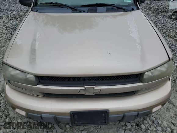 2004 Chevrolet TrailBlazer LT с VIN 1GNDT13S042186040, выставлен на аукционе Copart как лот 52505275 с пробегом 170 097 миль миль и Списание • Salvage title. История ставок и продаж доступна на DreamBid. Изображение 13.