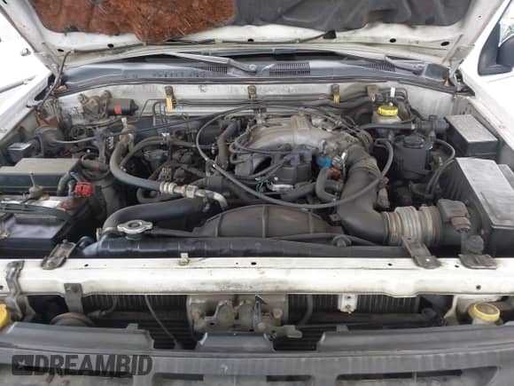 1997 Nissan Pathfinder XE with VIN JN8AR05YXVW176328, listed as a IAAI auction lot 42444578 with 179,943 mi miles and . Bid and sale history available at DreamBid. Image 10.