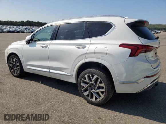 2023 Hyundai Santa Fe Calligraphy с VIN 5NMS5DAL5PH490567, выставлен на аукционе Copart как лот 67538145 с пробегом 56 636 миль миль и Списание • Salvage title. История ставок и продаж доступна на DreamBid. Изображение 2.