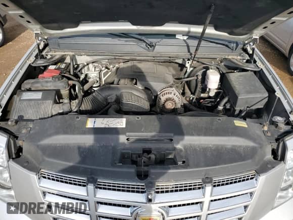 2010 Cadillac Escalade Luxury with VIN 1GYUKBEF4AR186007, listed as a Copart auction lot 68947085 with 178,235 mi miles and Salvage title. Bid and sale history available at DreamBid. Image 11.