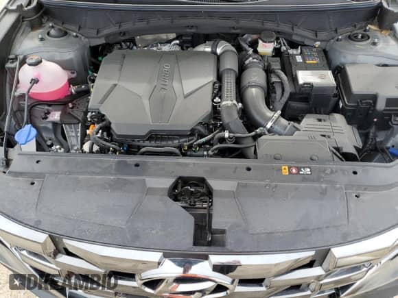 2024 Hyundai Santa Cruz Night Edition с VIN 5NTJCDAF1RH097328, выставлен на аукционе Copart как лот 70305814 с пробегом 461 миль миль и На запчасти • Non repairable. История ставок и продаж доступна на DreamBid. Изображение 11.