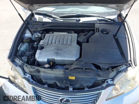 2007 Lexus ES 330 with VIN JTHBJ46G972099433, listed as a IAAI auction lot 43072742 with 192,645 mi miles and . Bid and sale history available at DreamBid. Image 10.