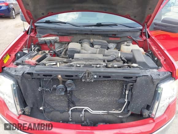 2009 Ford F-150 XL with VIN 1FTPW12V39KB84167, listed as a IAAI auction lot 42934319 with 299,221 mi miles and . Bid and sale history available at DreamBid. Image 10.