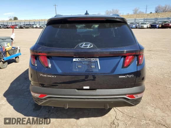 2024 Hyundai Tucson SEL with VIN KM8JBDD21RU186750, listed as a Copart auction lot 52020535 with Not provided miles and Salvage title. Bid and sale history available at DreamBid. Image 6.