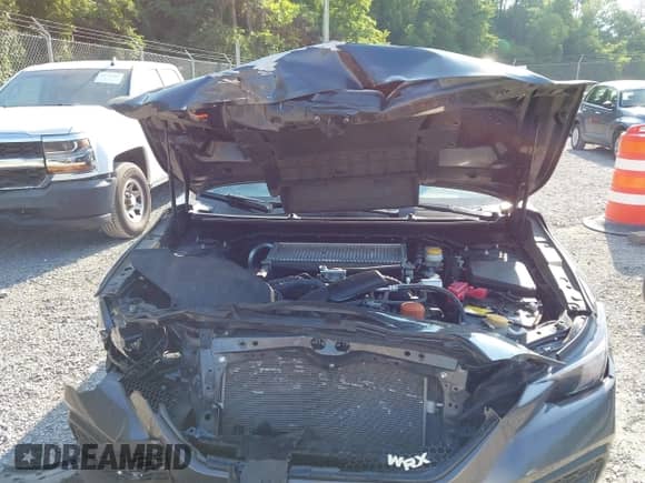 2023 Subaru WRX Premium with VIN JF1VBAF61P9801744, listed as a IAAI auction lot 42603973 with 47,995 mi miles and . Bid and sale history available at DreamBid. Image 12.