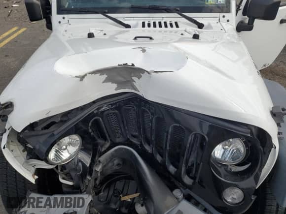 2016 Jeep Wrangler Sport with VIN 1C4AJWAG9GL192124, listed as a Copart auction lot 82093505 with Not provided miles and Salvage title. Bid and sale history available at DreamBid. Image 11.