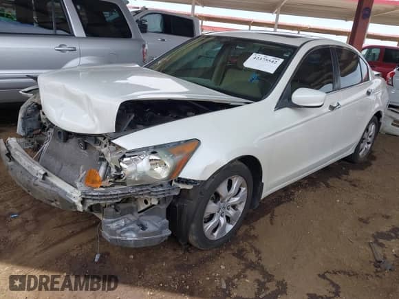 2010 Honda Accord EX with VIN 1HGCP3F7XAA026388, listed as a IAAI auction lot 42375542 with 124,513 mi miles and . Bid and sale history available at DreamBid. Image 2.