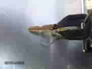 1992 Honda Accord with VIN JHMCB7676NC016583, listed as a IAAI auction lot 42349892 with 204,863 mi miles and . Bid and sale history available at DreamBid. Image 11.