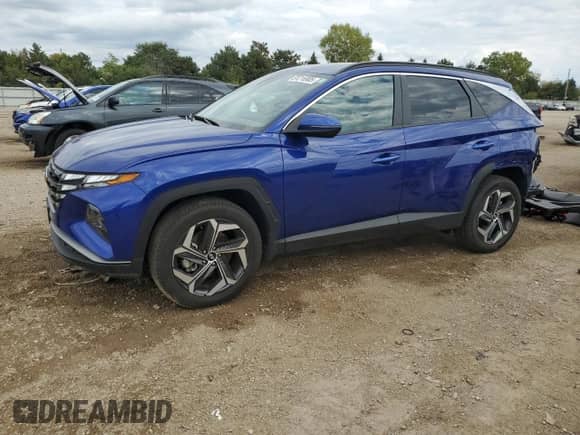 2024 Hyundai Tucson SEL с VIN 5NMJFCDE2RH339902, выставлен на аукционе Copart как лот 81216905 с пробегом 10 102 миль миль и Списание • Salvage title. История ставок и продаж доступна на DreamBid. Изображение 1.