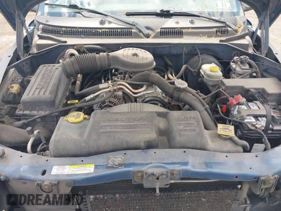 2002 Dodge Dakota SLT with VIN 1B7HL48XX2S668382, listed as a IAAI auction lot 42203326 with Not provided miles and . Bid and sale history available at DreamBid. Image 10.
