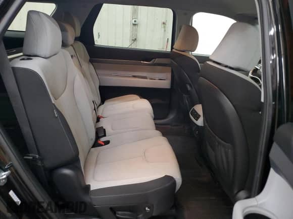 2023 Hyundai Palisade SE с VIN KM8R1DGE5PU505043, выставлен на аукционе Copart как лот 54399655 с пробегом 92 512 миль миль и Списание • Salvage title. История ставок и продаж доступна на DreamBid. Изображение 11.