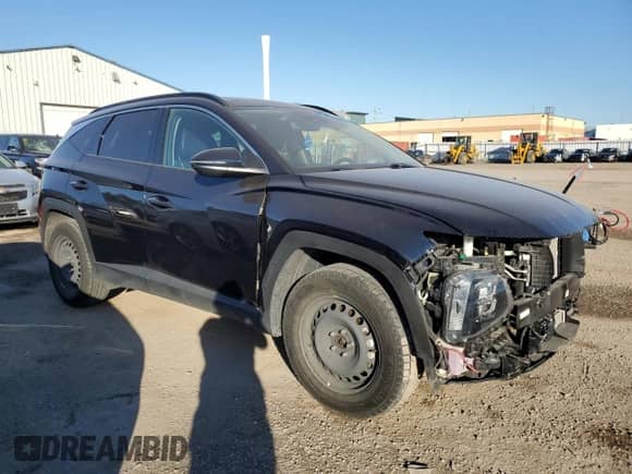 2022 Hyundai Tucson Luxury with VIN KM8JCCA10NU056603, listed as a Copart auction lot 83811325 with 97,512 mi miles and Salvage title. Bid and sale history available at DreamBid. Image 4.