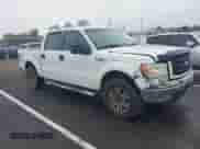 2010 Ford F-150 XL z VIN 1FTEW1E88AFC77969, wystawiony jako IAAI lot #43559049 z przebiegiem 301 493 mil mil oraz . Historia ofert i sprzedaży dostępna na DreamBid. Obrazek 1.