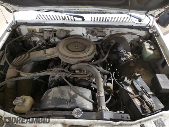 1993 Dodge Dakota S с VIN 1B7FL26X1PS131969, выставлен на аукционе Copart как лот 45938475 с пробегом 192 210 миль миль и Чистый • Clean title. История ставок и продаж доступна на DreamBid. Изображение 11.