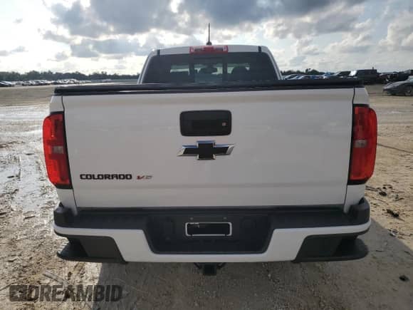 2018 Chevrolet Colorado 2WD LT with VIN 1GCHSCENXJ1248383, listed as a Copart auction lot 73734644 with Not provided miles and Salvage title. Bid and sale history available at DreamBid. Image 6.