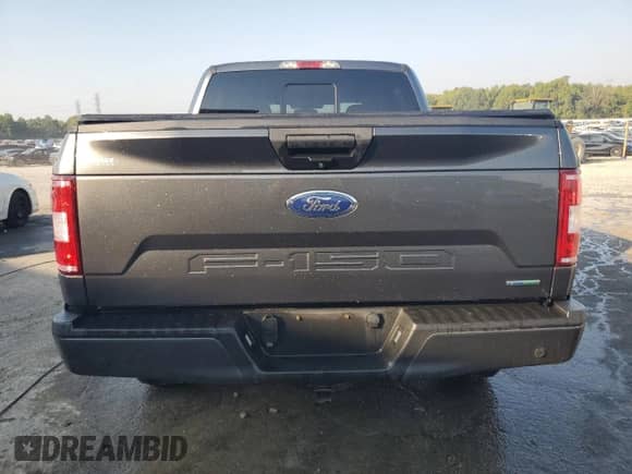 2019 Ford F-150 XLT with VIN 1FTEW1EP7KFA78291, listed as a Copart auction lot 80905865 with 64,304 mi miles and Salvage title. Bid and sale history available at DreamBid. Image 6.
