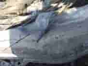 2016 Hyundai Santa Fe z VIN 5XYZTDLB4GG374005, wystawiony jako IAAI lot #42661477 z przebiegiem Nie podano mil oraz . Historia ofert i sprzedaży dostępna na DreamBid. Obrazek 9.