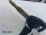 2001 Honda Accord EX with VIN JHMCG66851C007663, listed as a IAAI auction lot 42664996 with 227,074 mi miles and . Bid and sale history available at DreamBid. Image 11.