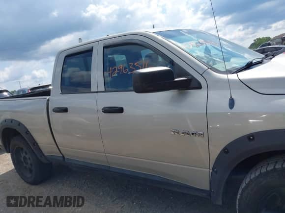 2010 Dodge 1500 SLT с VIN 1D7RV1GP3AS241130, выставлен на аукционе IAAI как лот 42963516 с пробегом 218 002 миль миль и . История ставок и продаж доступна на DreamBid. Изображение 13.