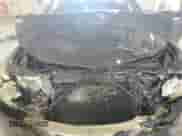 2010 Acura TL Technology с VIN 19UUA8F51AA017080, выставлен на аукционе Copart как лот 80750915 с пробегом 133 481 миль миль и Списание • Salvage title. История ставок и продаж доступна на DreamBid. Изображение 11.