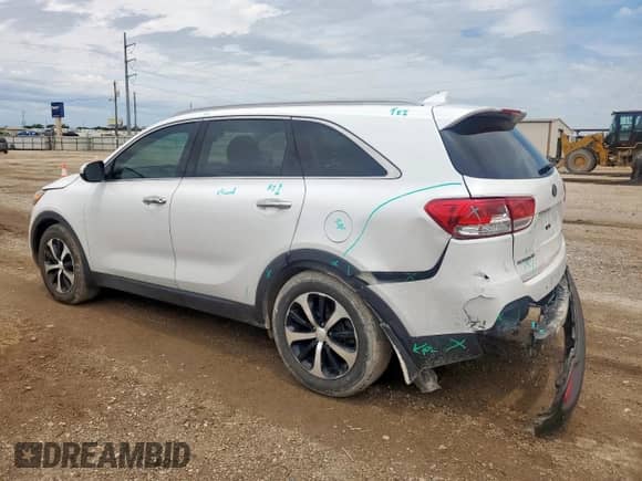 2018 Kia Sorento EX with VIN 5XYPH4A54JG396163, listed as a Copart auction lot 67300085 with 113,970 mi miles and Salvage title. Bid and sale history available at DreamBid. Image 2.
