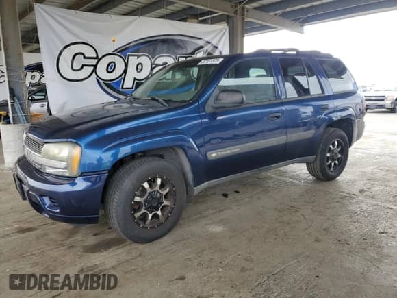 2003 Chevrolet TrailBlazer LS with VIN 1GNDS13S832369560, listed as a Copart auction lot 82181575 with 225,314 mi miles and Salvage title. Bid and sale history available at DreamBid. Image 1.