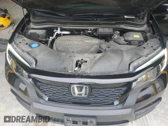 2019 Honda Passport EX-L с VIN 5FNYF8H56KB024131, выставлен на аукционе Copart как лот 66350145 с пробегом 56 014 миль миль и Чистый • Clean title. История ставок и продаж доступна на DreamBid. Изображение 12.