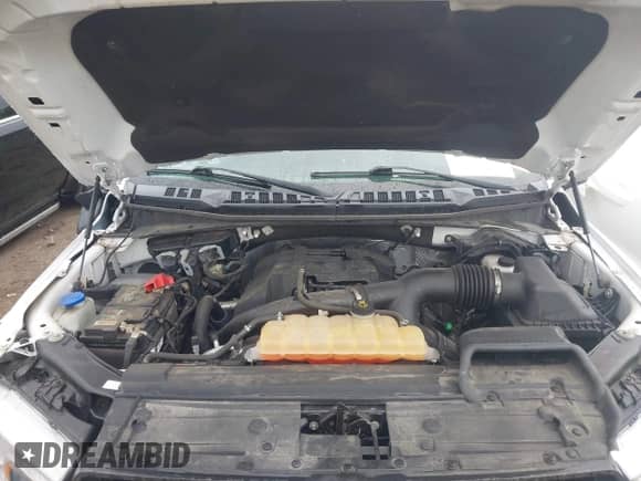 2018 Ford F-150 XL z VIN 1FTEW1EP1JKD65079, wystawiony jako IAAI lot #43372330 z przebiegiem 64 018 mil mil oraz . Historia ofert i sprzedaży dostępna na DreamBid. Obrazek 10.