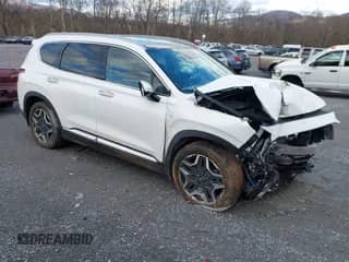2022 Hyundai Santa Fe SEL Premium with VIN KM8S3DA12NU059478, listed as a IAAI auction lot 41209885 with 47,937 mi miles and . Bid and sale history available at DreamBid. Image 1.