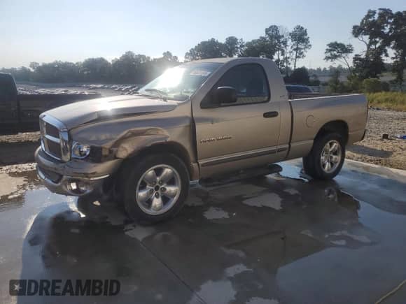 2002 Dodge 1500 z VIN 1D7HA16N22J241845, wystawiony jako Copart lot #80631095 z przebiegiem 374 581 mil mil oraz Szkoda całkowita • Salvage title. Historia ofert i sprzedaży dostępna na DreamBid. Obrazek 1.