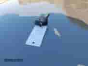 2017 Toyota Camry XSE с VIN 4T1BF1FK3HU657266, выставлен на аукционе IAAI как лот 43399112 с пробегом 176 892 миль миль и . История ставок и продаж доступна на DreamBid. Изображение 11.