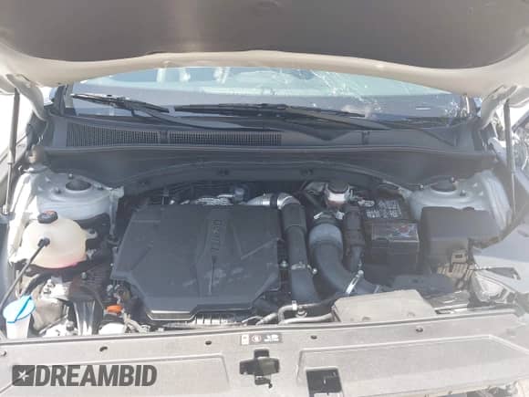 2021 Hyundai Santa Fe Limited with VIN 5NMS4DAL8MH356537, listed as a IAAI auction lot 42519456 with 21,634 mi miles and . Bid and sale history available at DreamBid. Image 10.