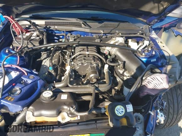 2009 Ford Mustang Shelby GT500 z VIN 1ZVHT88S895133990, wystawiony jako IAAI lot #43193780 z przebiegiem 40 586 mil mil oraz . Historia ofert i sprzedaży dostępna na DreamBid. Obrazek 10.