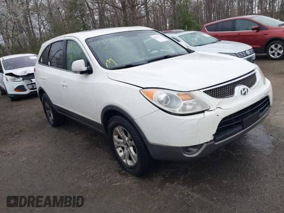 2007 Hyundai Veracruz GLS z VIN KM8NU73C57U010983, wystawiony jako IAAI lot #41912443 z przebiegiem 192 218 mil mil oraz . Historia ofert i sprzedaży dostępna na DreamBid. Obrazek 1.