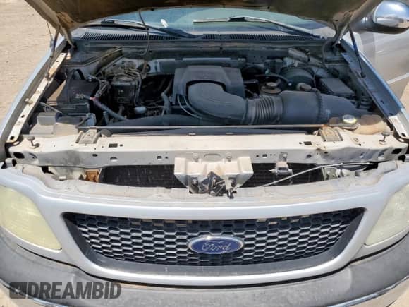 2002 Ford F-150 XL z VIN 1FTRX17L82NA73485, wystawiony jako Copart lot #65565265 z przebiegiem 186 263 mil mil oraz Czysty tytuł • Clean title. Historia ofert i sprzedaży dostępna na DreamBid. Obrazek 11.